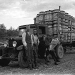 Lorry full of barrels on Arctic Sea road.jpg